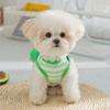 Одежда для собак трехмерный рюкзак полосатая тяговая дышащая жилетка плюшевый мишка маленькая и средняя собака кошка домашнее животное одежда