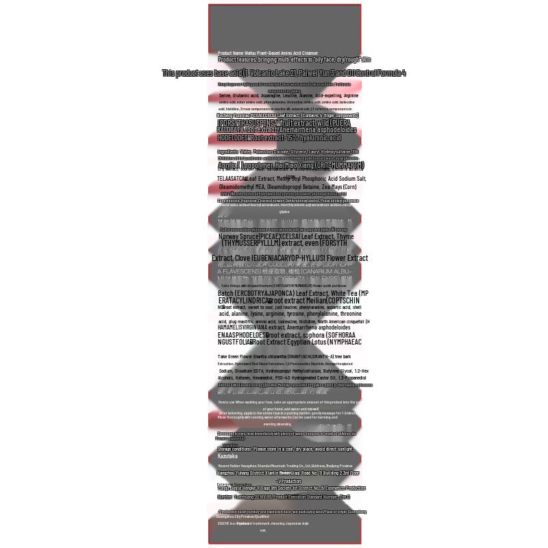 Hefengyu Men's Mite Removal & Oil Control Face Wash