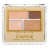 CANMAKE Perfect Brown Eyes 05 Skinny Brown 3.6г