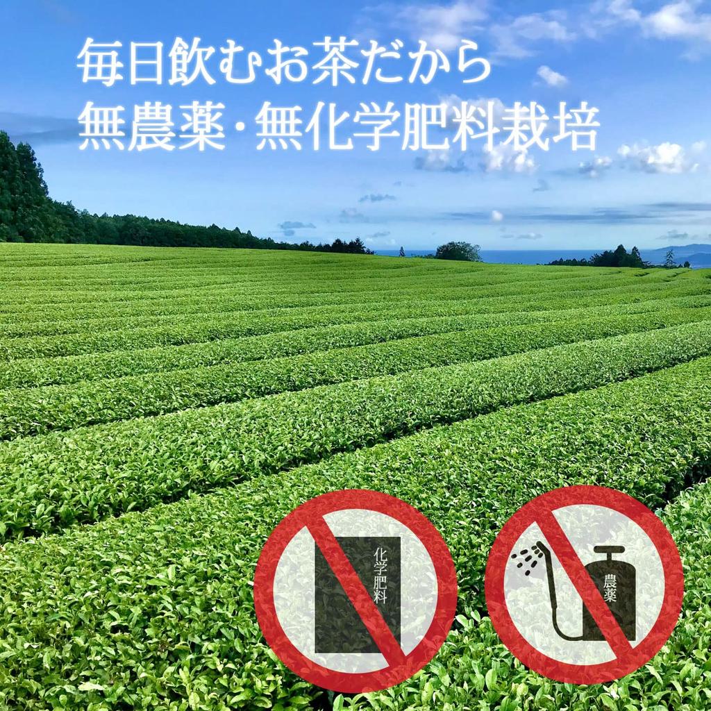 Organically Grown Green Organic Shizuoka No No Chemical Special Tea 100g Tea, Tea, Pesticides, Fertilizers, 100% First-picked First-pick Tea, Leaves,