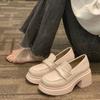Women's Mary Jane Shoes 2025 Spring and Autumn New Platform Sole Chunky Heel Slip On Shoes Fashion Leather Loafers