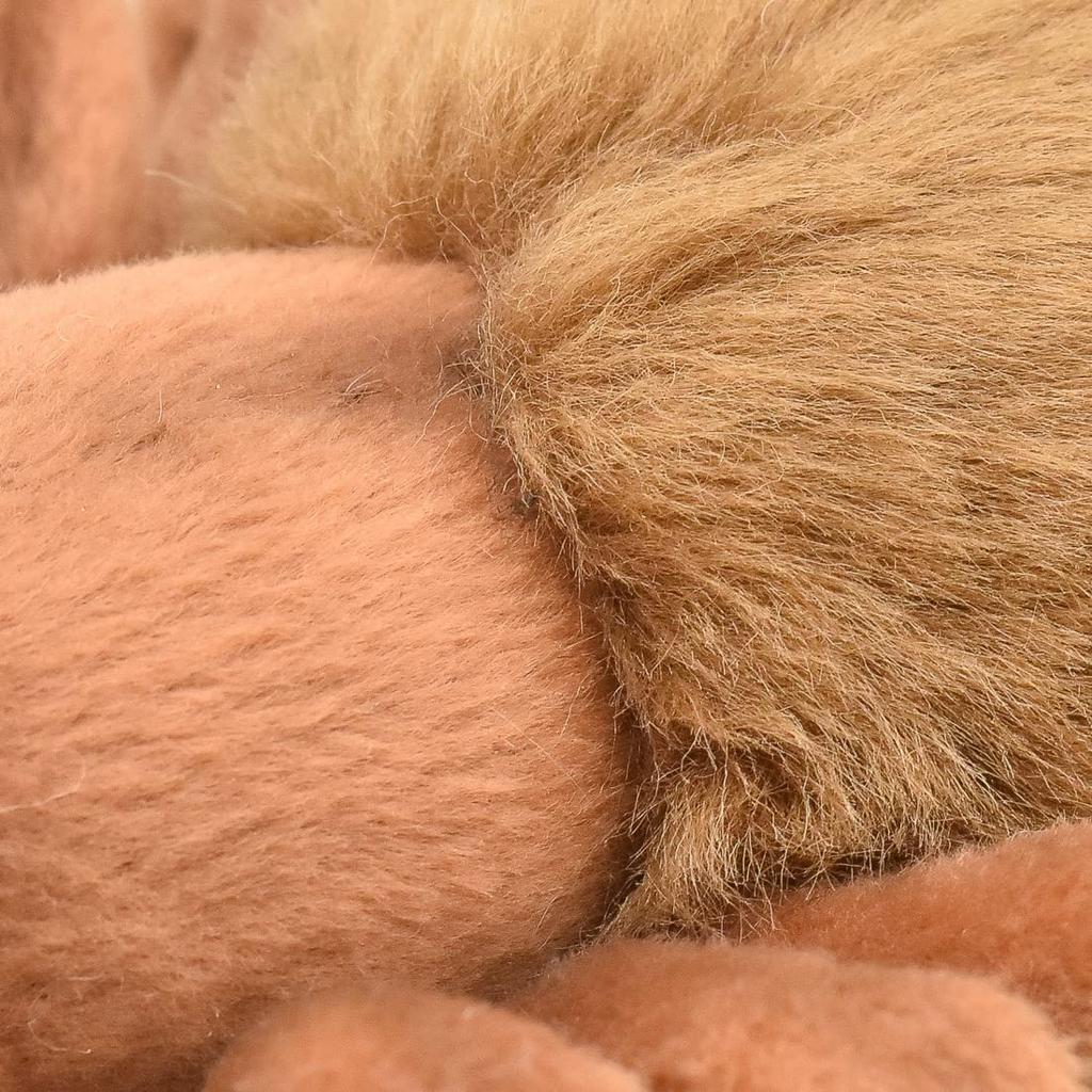 BH8488 HANSA Brown Tarantula 19