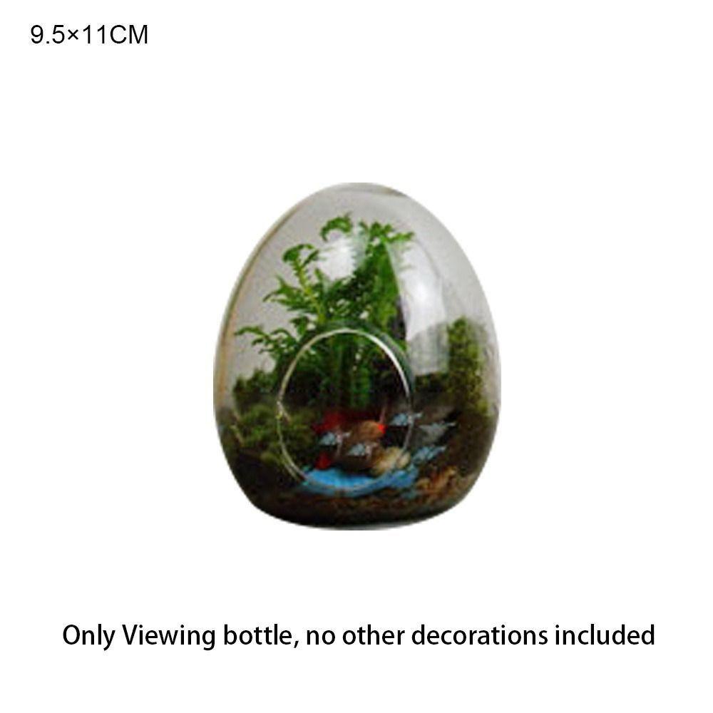 Egg-shaped Terrarium Succulent Glass Vase Micro Landscape Glass Home Decoration Glass Bottles