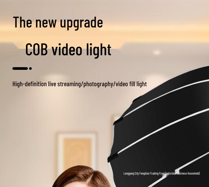 500 Вт Супер Яркий Профессиональный Заполняющий Свет для Прямых Трансляций и Фотографии