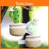 Potted Cactus Cute Plant With Lace Decoration Succulent Plush Pendant Toy