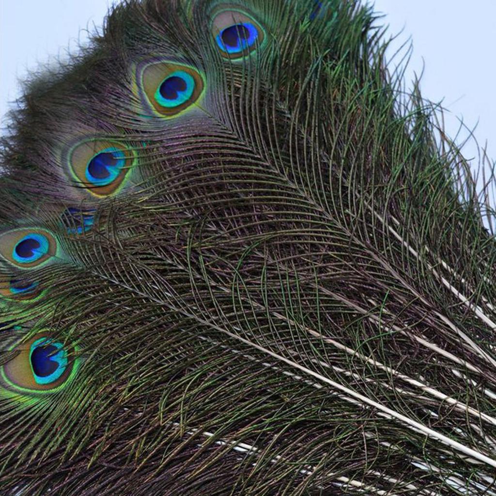 Лоты, 10 шт., натуральные настоящие перья из павлиньего хвоста, поделки своими руками, 23-30 см/10-12 дюймов