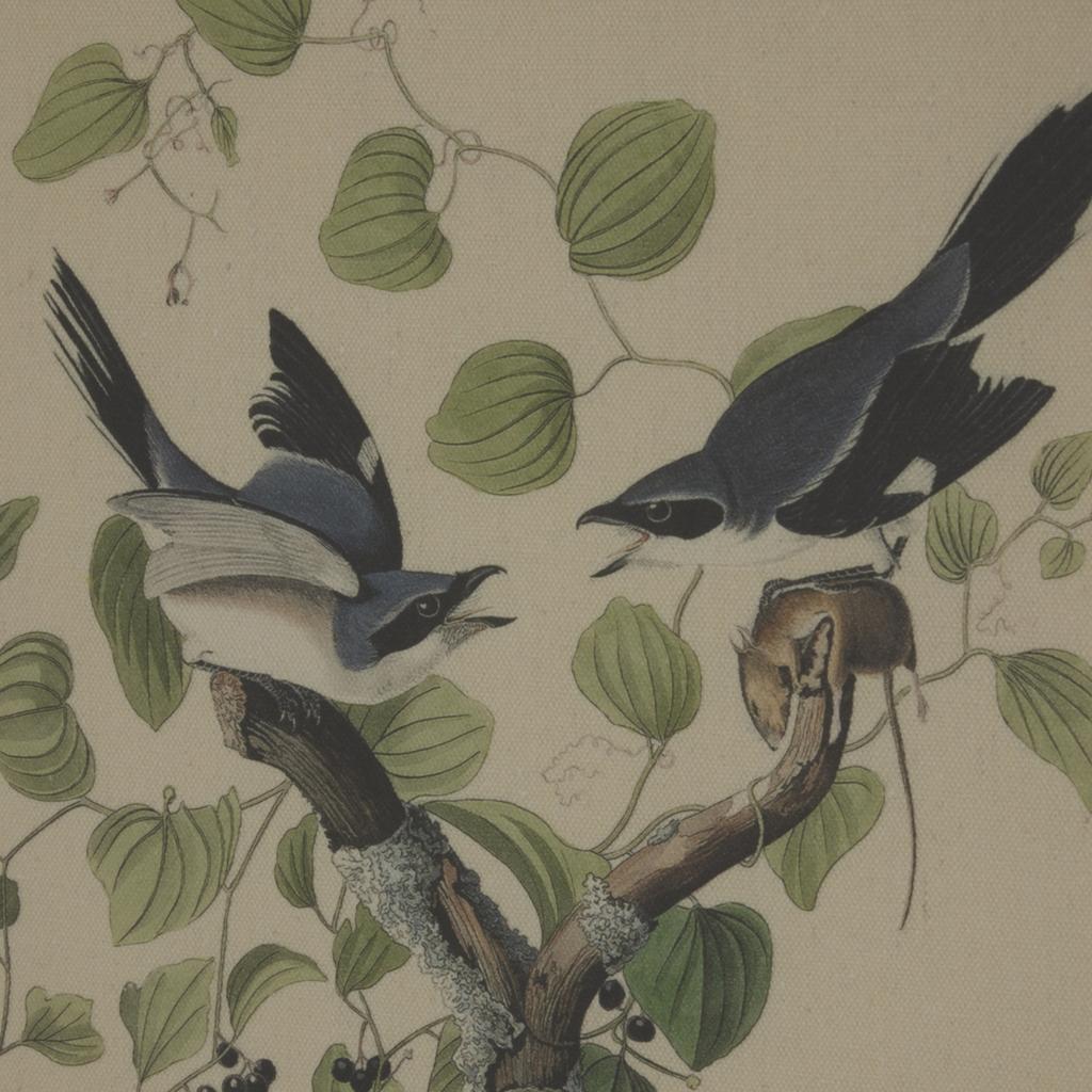 Hill Interiors Flora & Fauna Collection Shrikes Beaded Linen Framed Wall Art