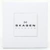 SKAGEN 233XLTTM [продукт]