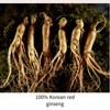 6-летний Корё Красный Женьшень Каждый День 100 / Палочка Красного Женьшеня 15 г x 100 палочек