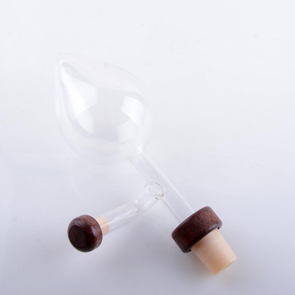 Glass Wine Aerator Professional Wine Bottle Pourer Quick Wine Decanter Spout Wine Enthusiasts