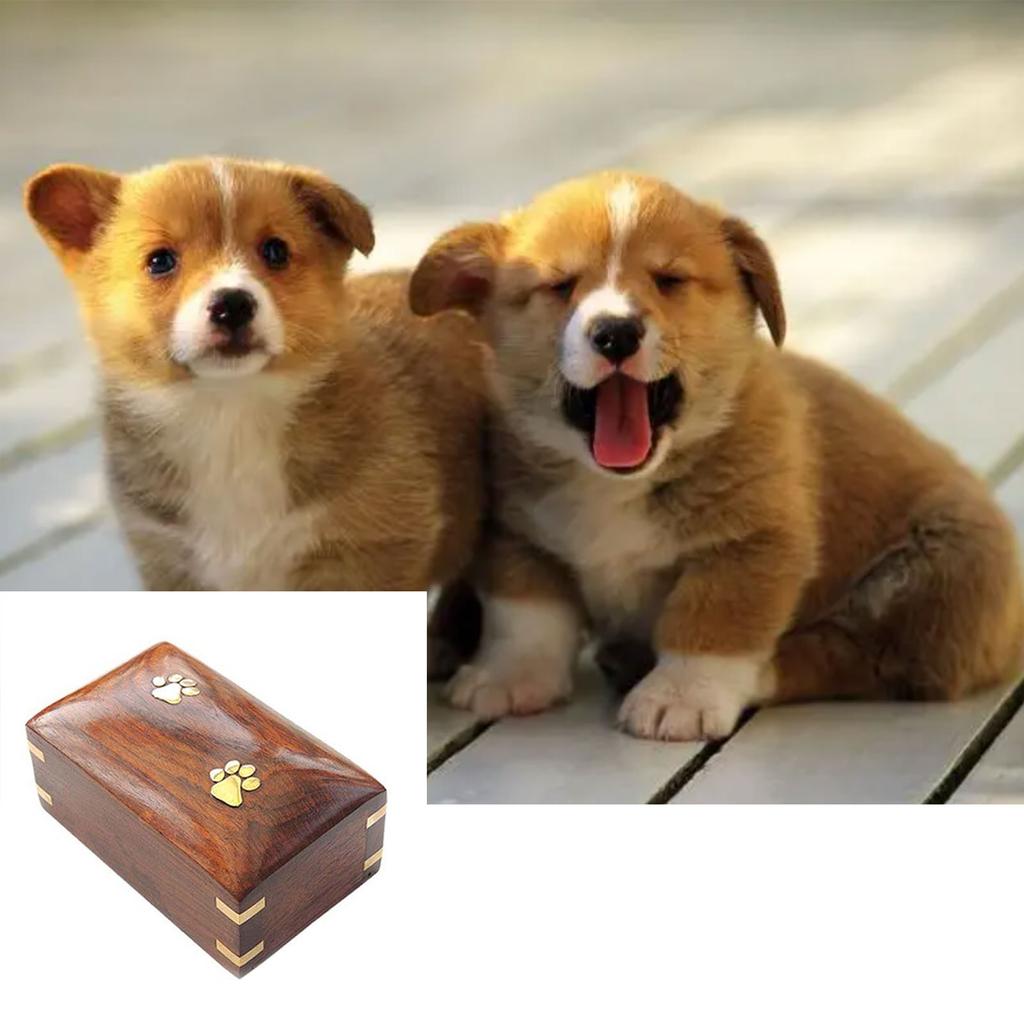 Create Special Place of Remembrance for Departed Pet with Wood Pet Remembrance Urn Box To Preserve Beautiful Memories
