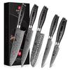 XINZUO 5-Piece Kitchen Knife Set, Damascus Steel, High Carbon Steel Chef Knife, Slicing Knife, Santoku Knife, Utility Knife, Paring Knife Set, Pakkawo
