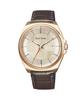 Часы 863238GOLD350F Коричневые [Paul Smith] Мужские