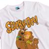Scooby Doo Unisex Adult Classic T-Shirt