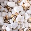 1300-1500Pcs/Box Natural Shell Conch Ornaments Accessories Parts DIY Material Jewelry Components Fish Tank Home Decoration