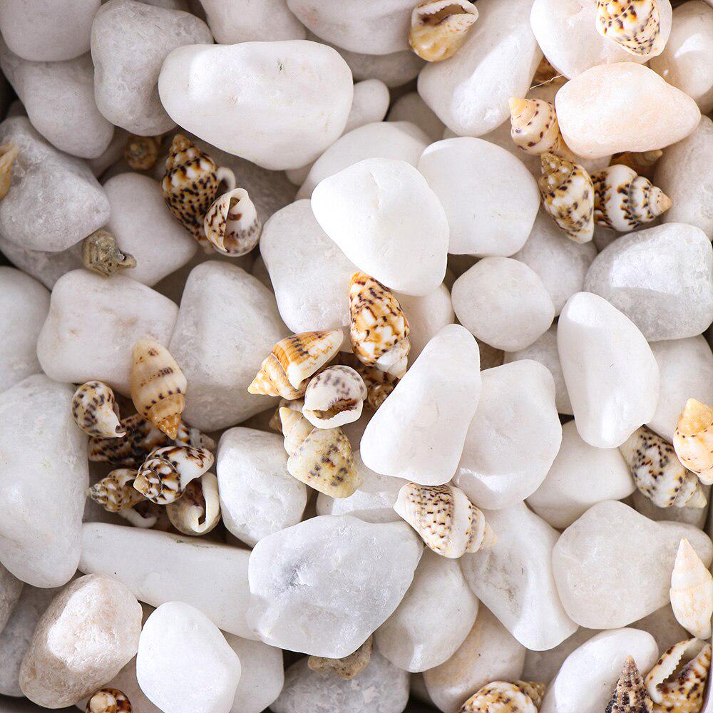 1300-1500Pcs/Box Natural Shell Conch Ornaments Accessories Parts DIY Material Jewelry Components Fish Tank Home Decoration