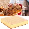 Пластиковый инкубатор Bee King Free Move безвредный ящик для размножения пчеловода инструмент для пчеловодства