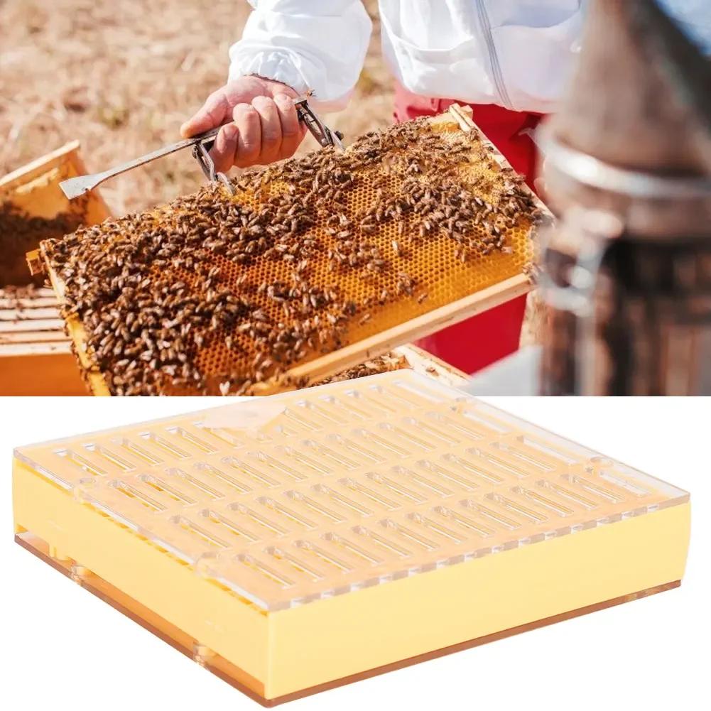 Пластиковый инкубатор Bee King Free Move безвредный ящик для размножения пчеловода инструмент для пчеловодства