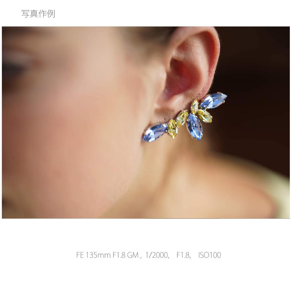 Sony Telephoto Single Focus Lens Full Size FE 135mm GM G Master Genuine Lens for Digital Single Lens Camera SEL135F18GM F1.8 [E Mount]