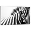 GLASS PROTECTIVE PLATE FOR STOVE 80x52 ZEBRA