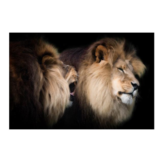 Canvas Painting Modern Wild Animal Black and White Kissing Lions Head Wall Art Pictures for Living Room Cuadros Home Decoration No Frame