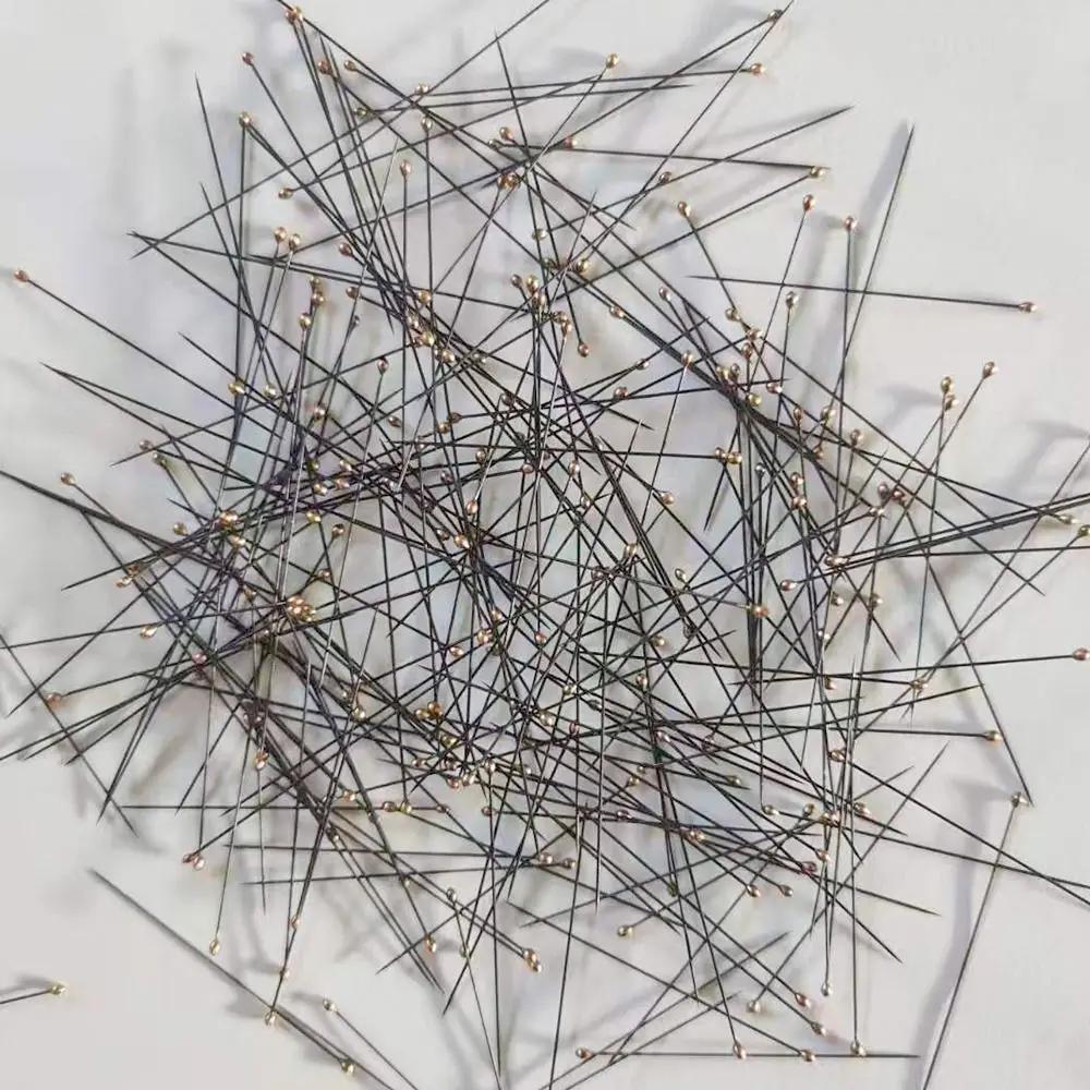 100Pcs Good Flexibility Lab Accessories Entomology High Hardness Insect Dissections Supplies Needle Specimen Pins Pin