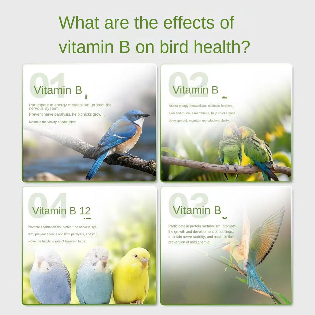 Parrot Pigeon Compound Vitamin B Solution Hair Loss Beauty Pet Nutrition Supplement 20ml