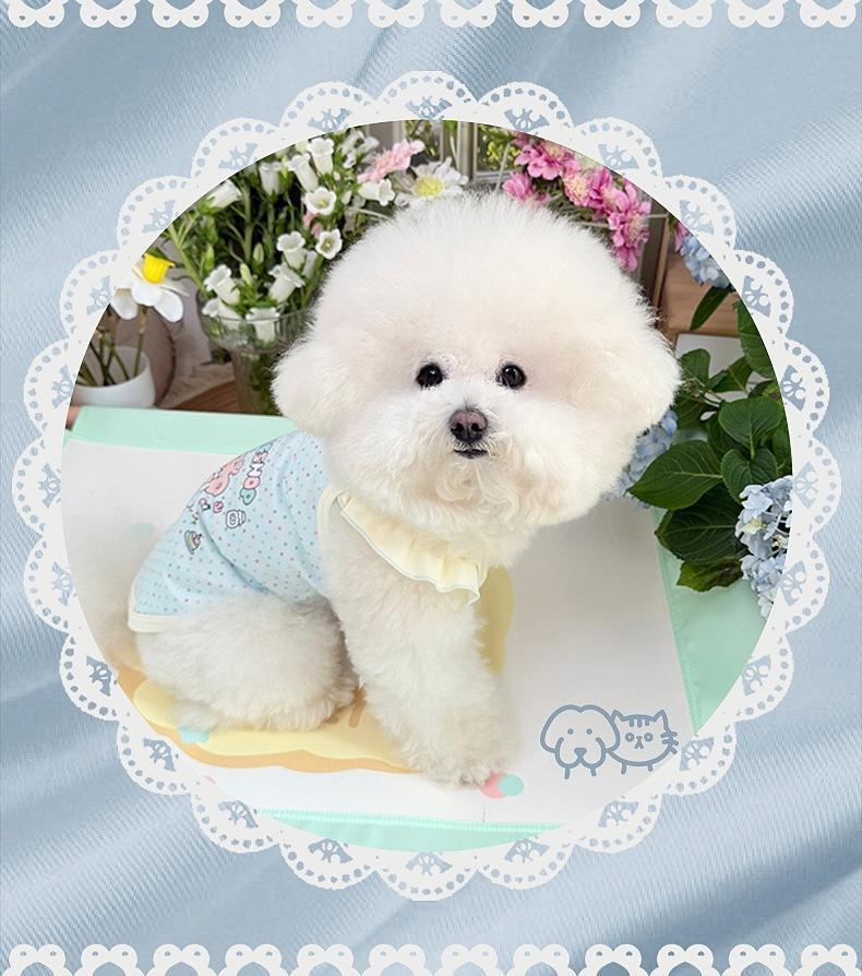 Весенне-летняя одежда для кошек и собак: Тонкий Милый Мультяшный Принт Стильный Макаронных Цветов Холтер Бишон и Померанский Маленький Короткий Стиль