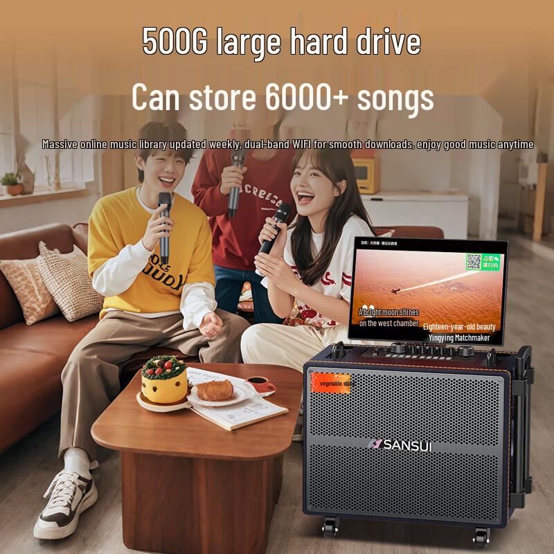 SANSUI Q125 Portable KTV Speaker with Display