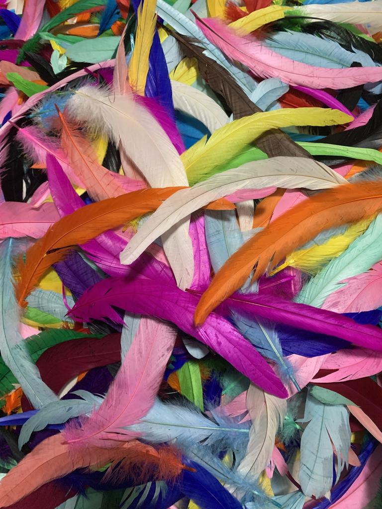 Natural 50pcs Rooster Tail Feather Plumes 25-45CM 10-18inch Beige DIY Dyed Cock Tail Clothing Accessories Jewelry Performance