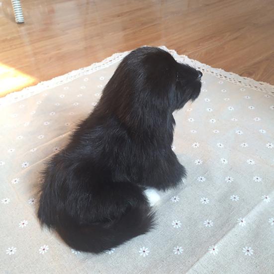 Имитация милой маленькой черной собаки, домашнего автомобиля, настольного реквизита для фотографии, декор, игрушка в подарок