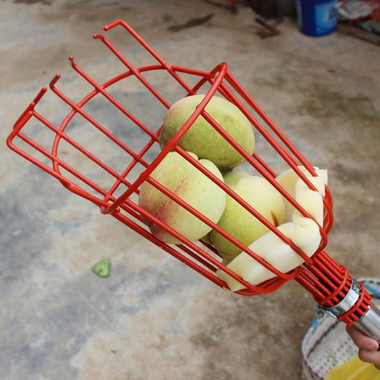 Инструмент для сбора фруктов Хурма Bayberry Gatherer Конструкция губки Съемная конструкция с длинной ручкой Большая емкость