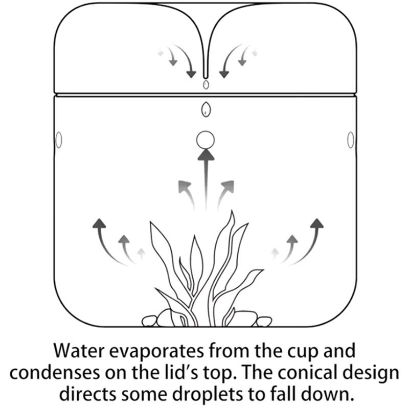 Glass Bottles Creativity Dew Collection Glass Vase Micro Landscape Succulent Moss Landscape Glass Terrarium Home Decor