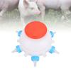 13 Pcs Set 2.6 Quart Lamb Milk Bottle Thickened Piglet Feeder Bottle  Young Livestock