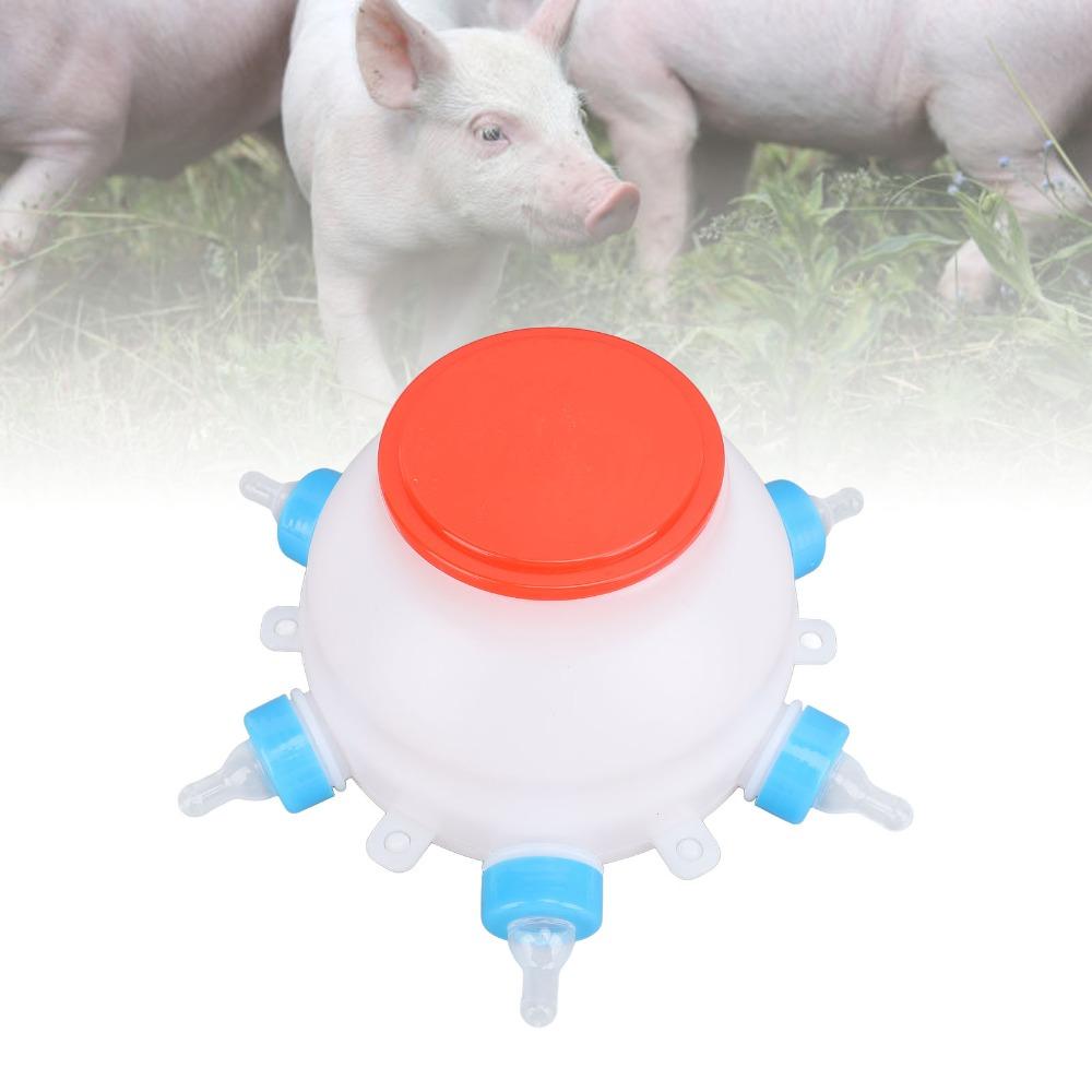 13 Pcs Set 2.6 Quart Lamb Milk Bottle Thickened Piglet Feeder Bottle Young Livestock