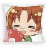Anime Hetalia World Stars Feliciano Vargas Pillow Case Anti-Dustmite Pillowcase Invisible Silky Short Plush Sofa Cushion Cover
