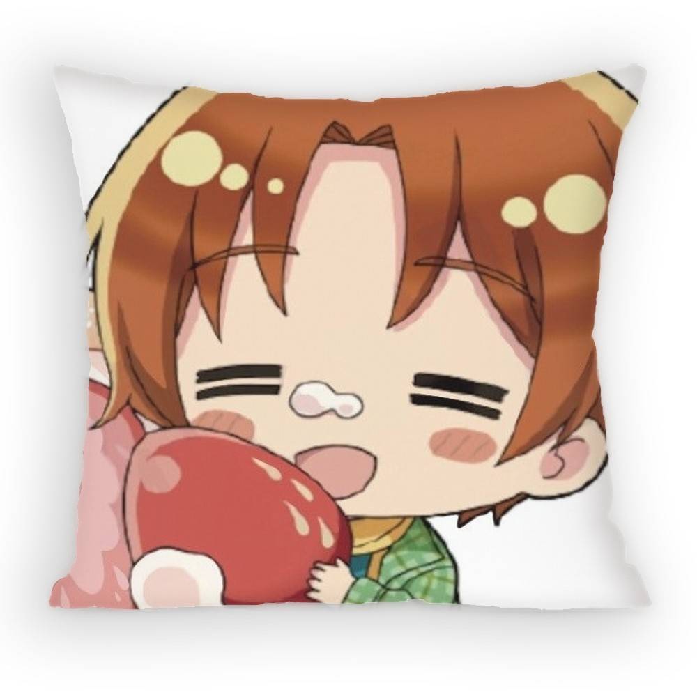 Anime Hetalia World Stars Feliciano Vargas Pillow Case Anti-Dustmite Pillowcase Invisible Silky Short Plush Sofa Cushion Cover