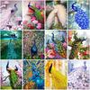 Peacock DIY 5D Diamond Painting Cross Stitch Full Round Resin Diamond Embroidery Rhinestones Mosaic Christmas Gift Home Decor