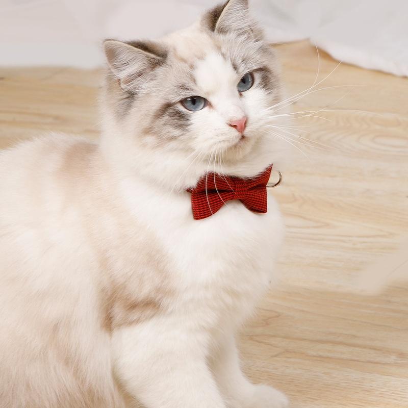 Pet Collar Adjustable Durable Cat Collars Cute Bow Kitten Necklace Soft Bell Puppy Lead Pet Product Cat Dog Accessories