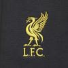 Nike Футбольные брюки мужские с вышитым логотипом Liverpool Technology Team Third Away, темно-дымчато-серые, хромово-желтые, HV1942-070