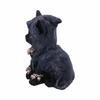 New Cat Statue Witch Grim Reaper Decorative Resin Black Cloak Grim Reaper Feline Micro Decor Garden Home Office
