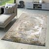 Washable Printed Carpet RVGHOME1505-HT336