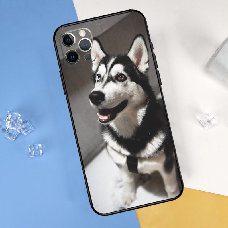 Siberian Husky Sled Dog Phone Case For iPhone 16 Pro Max 12 13 Mini 11 14 15 Pro Max XR 16 15 Plus 16e Cover Shell