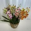 Elegant Dendrobium Artificial Orchid Stem With Foliage For Tabletop Decoration