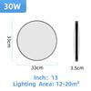 Modern Led Ceiling Lamp 220V 18W 30W Ultra Thin Ceiling Lights for Living Room Bathroom Home Lighting