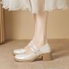 Spring and Autumn High Heels Women's New Mary Jane Shoes Platform Soles Round Head Small Leather Shoes Versatile Thick Heel Single Shoes