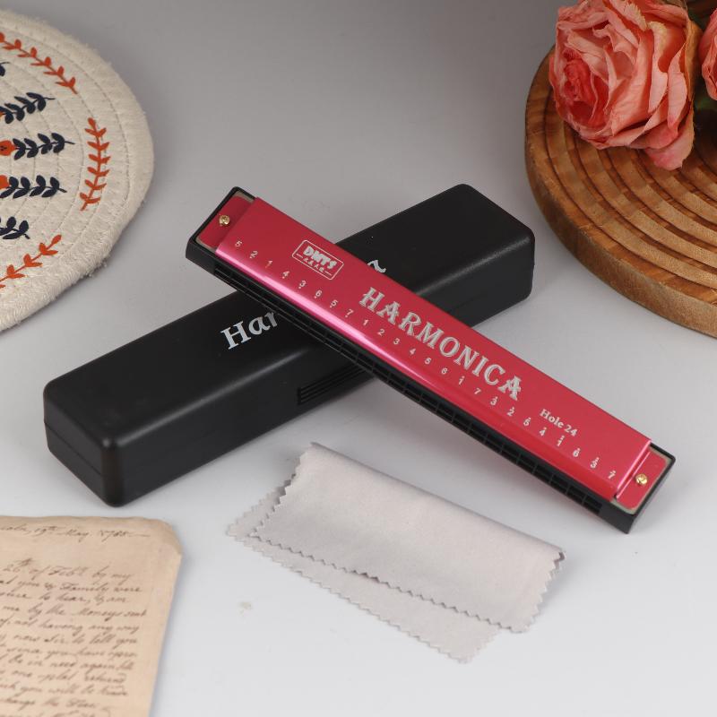 Harmonica Key Of C 24 Hole Diatonic Harmonica C With Case For Beginner Students Kids Gift Blues With Case