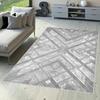 Washable Printed Carpet RVGHOME0347