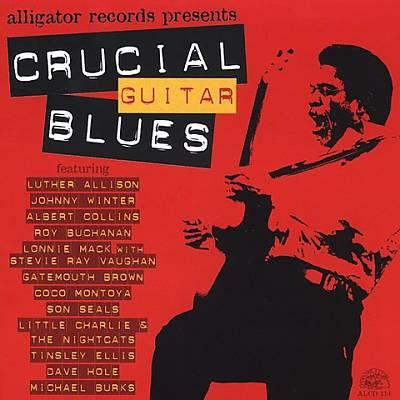 CD РАЗНЫЕ ИСПОЛНИТЕЛИ - Crucial Guitar Blues ALCD114 Alligator Recor 2003 US Блюз Б/У