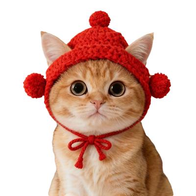 Новая смешная шапка для кошки Изысканная эластичная ручной вязки Шапка для щенков котят Реквизит для фотосессии Шапка для питомца Осень Зима